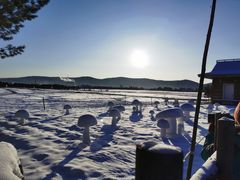 -北极村旅游风景区