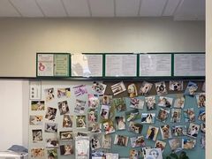 -爱妮康宠物医院·干细胞免疫细胞·肿瘤·心脏(张江店)