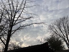 -北京石刻艺术博物馆(五塔寺)