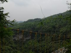 -川西竹海景区