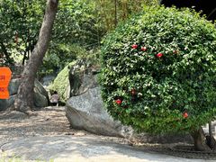 -石峰岩寺