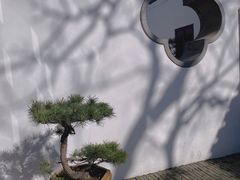 -个园
