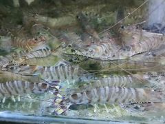 -龙门养心粥火锅(祥恒广场店)