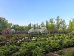 -洛阳市隋唐城遗址植物园