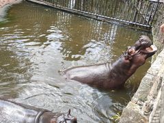 -海南热带野生动植物园
