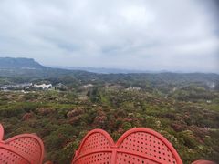 -贵州百里杜鹃风景名胜区