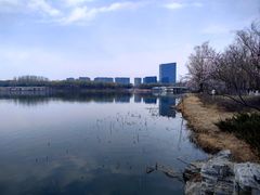 -大兴滨河森林公园