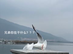 -海埂大坝