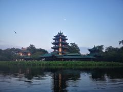 -桂湖森林公园
