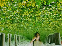 -印象莫奈时光映迹艺术展