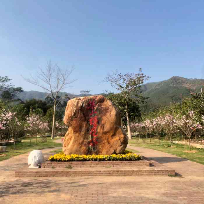 茶山樱花谷主题景区-"90门票:原价80/人 大众或**优惠价.