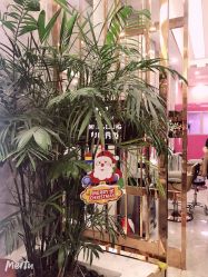 -Meng Lang 梦郎白金店
