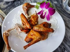 -鸽鸟轩(石岐店)