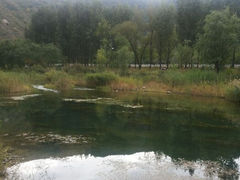 android_upload_pic-白河湾生态旅游一条川