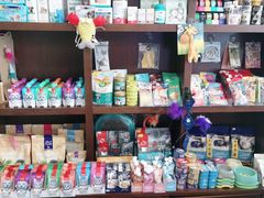 -宠爱国际动物医院· 猫科· 外科·中兽医(长白店)