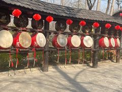 -合肥滨湖国家森林公园