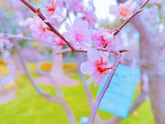 -静安雕塑公园