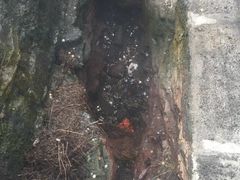 -夏威夷火山国家公园