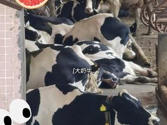 -光明农场大观园