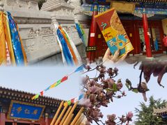 -西安市广仁寺