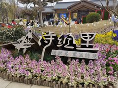 -诗经里