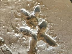 -长春公园(普阳街道)