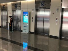 -首都医科大学附属北京天坛医院