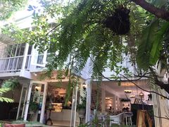 -Fern Forest Cafe