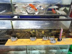 -魏四小鱼锅贴王