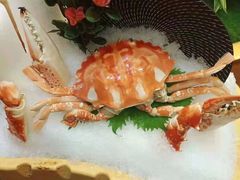 -海通1号(梅峰店)