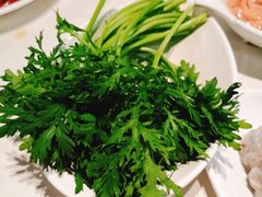 茼蒿-凯鸽火锅(华林新天地店)