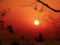 -苏州东太湖生态园