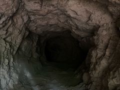 -上海佘山国家森林公园天马山园