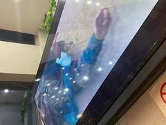 -老鄞江清水龙虾•赵赵家(江北店)