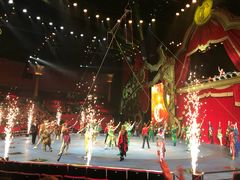 -珠海横琴长隆《卡卡虎奇遇记》