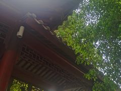-龙潭水乡