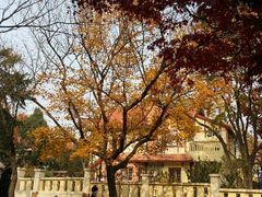 android_upload_pic-八大关景区