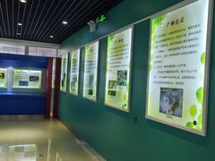 -上海昆虫博物馆