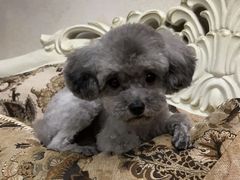 -六必居(北京市百货大楼店)