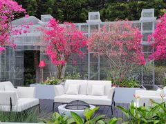 -深圳仙湖植物园
