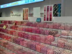 -Zzmart珠珠世界·潮玩·串珠·水晶DIY(双塔店)