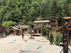-牛背梁国家森林公园