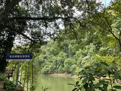 -鼎湖山风景区