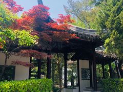 -复旦大学附属华山医院(总院)