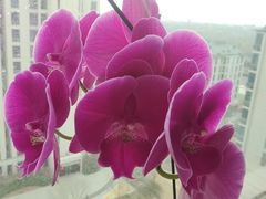 -福寿斋(顺义总店)