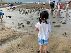 -坝光海滩