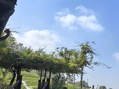 -洪泽湖古堰景区