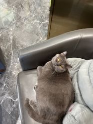 -卡尔诗·科技美肤连锁