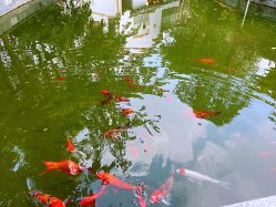 -莲生母婴月子中心(清水河公园店)