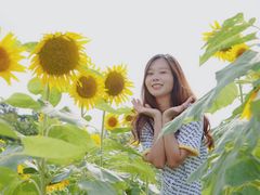 -光明小镇欢乐田园